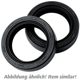 Gaskets Technopolymer fork seal rings ARI 047  (41x54x11mm) Neutral