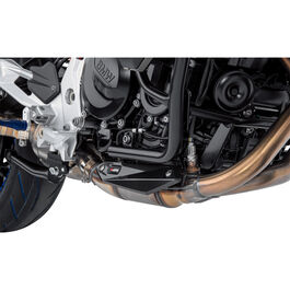 Hitzeschutz Carbon für BMW F 900 R/XR