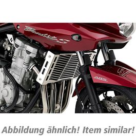 Verkleidungen & Radabdeckungen POLO Kühlerabdeckung poliert Kawasaki Z 750/1000 (ab 2007) Neutral