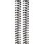fork springs pair Zero Friction linear