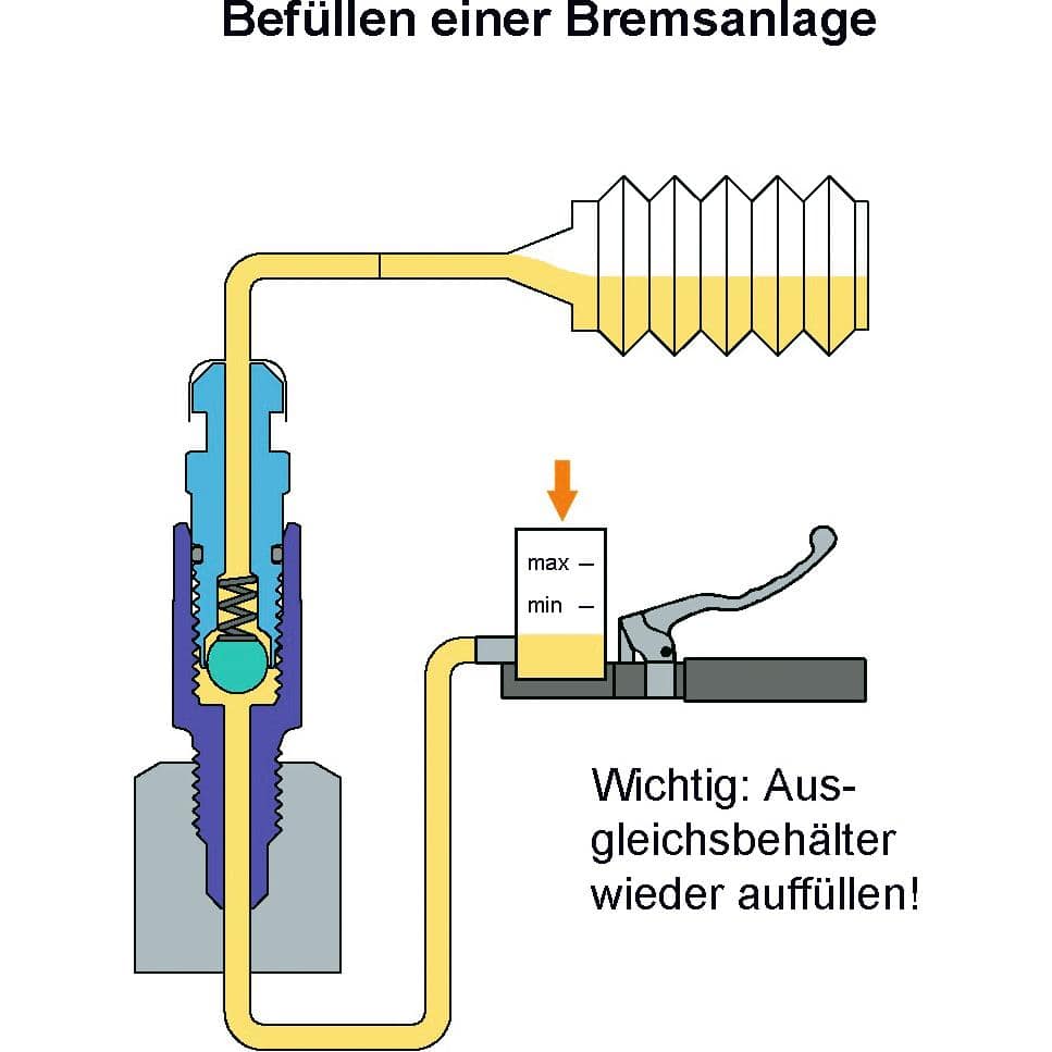 Stahlbus-Entlüftungsventilschraube-5533561000000010