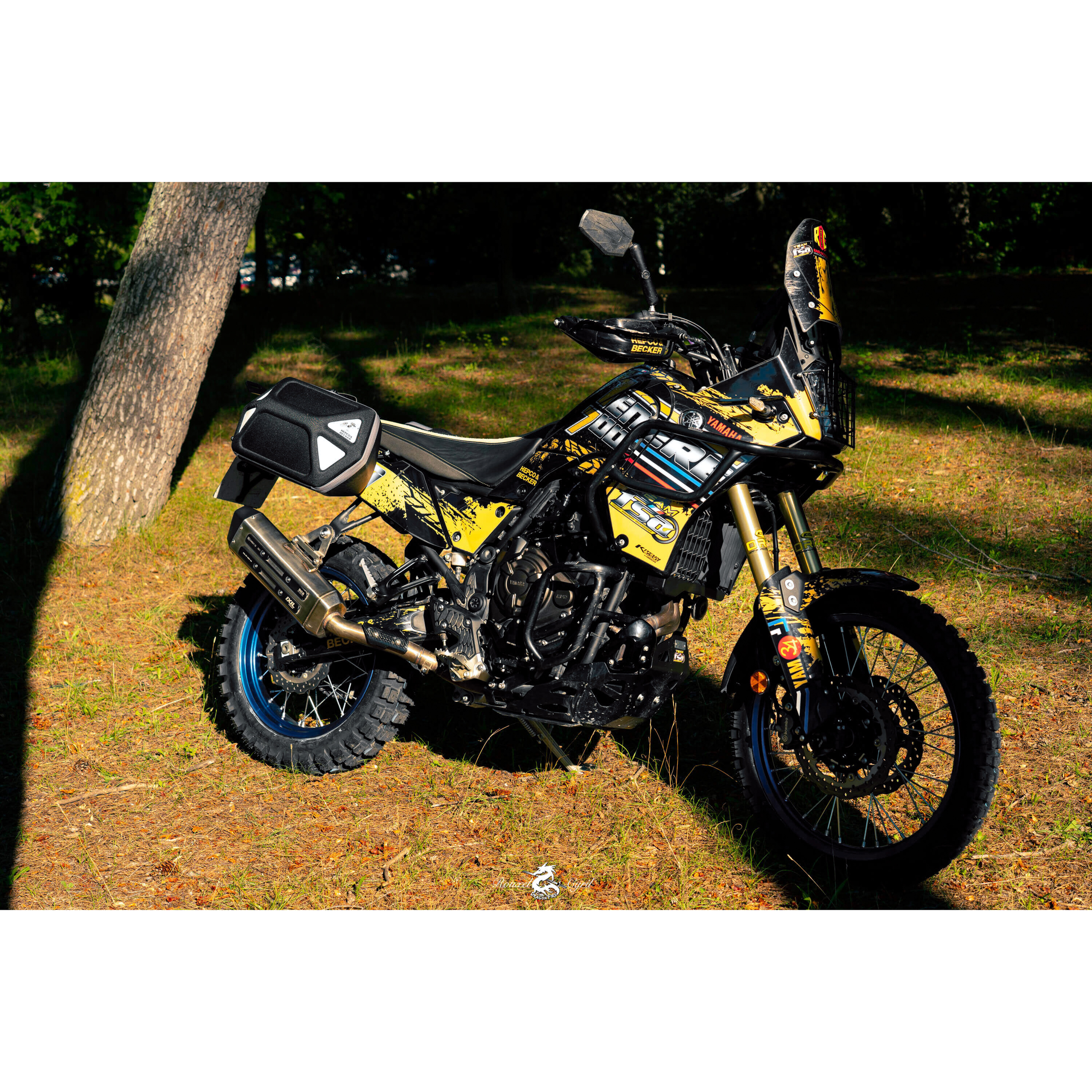 Hepco & Becker-Seitentaschen Royster Speed für C-Bow-5750031199010220