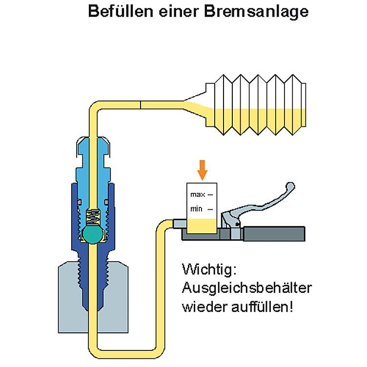 Stahlbus-Entlüftungsventilschraube-5533561000000010