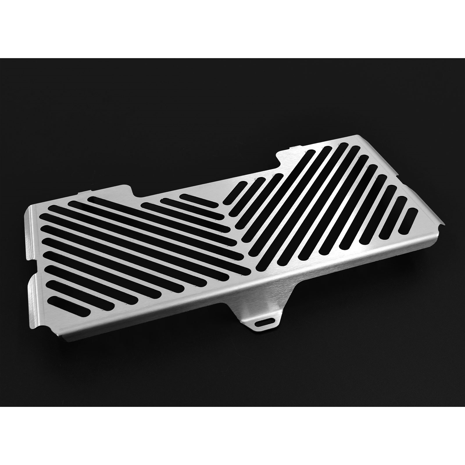 Zieger Kühlerabdeckung Clean silber für BMW F 800 S/R 2006-2014 - Motorradteile & Ersatzteile - Verkleidungen & Abdeckungen