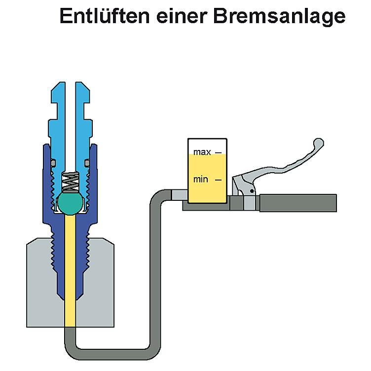 Stahlbus-Entlüftungsventilschraube-5533561000000010