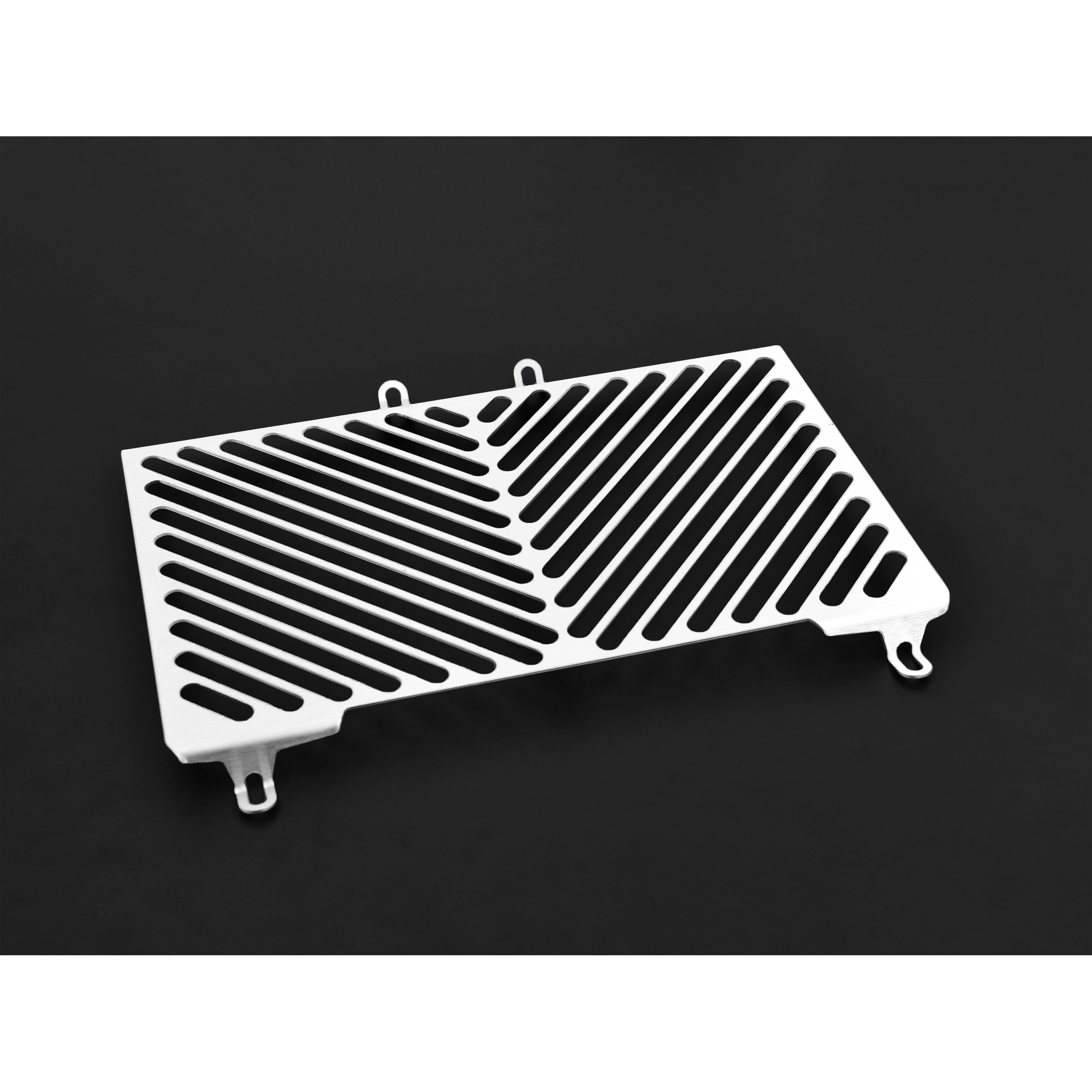 Zieger Kühlerabdeckung Clean silber für Speed Triple 1050 2005-2010 - Motorradteile & Ersatzteile - Verkleidungen & Abdeckungen