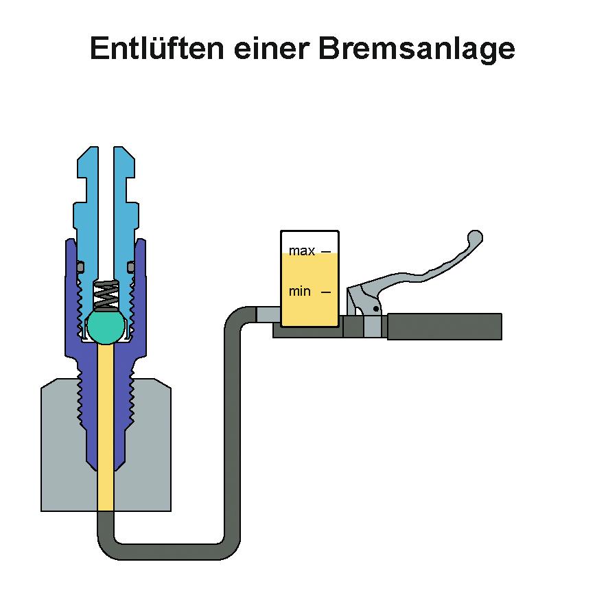 Stahlbus-Entlüftungsventilschraube-5533561000000010