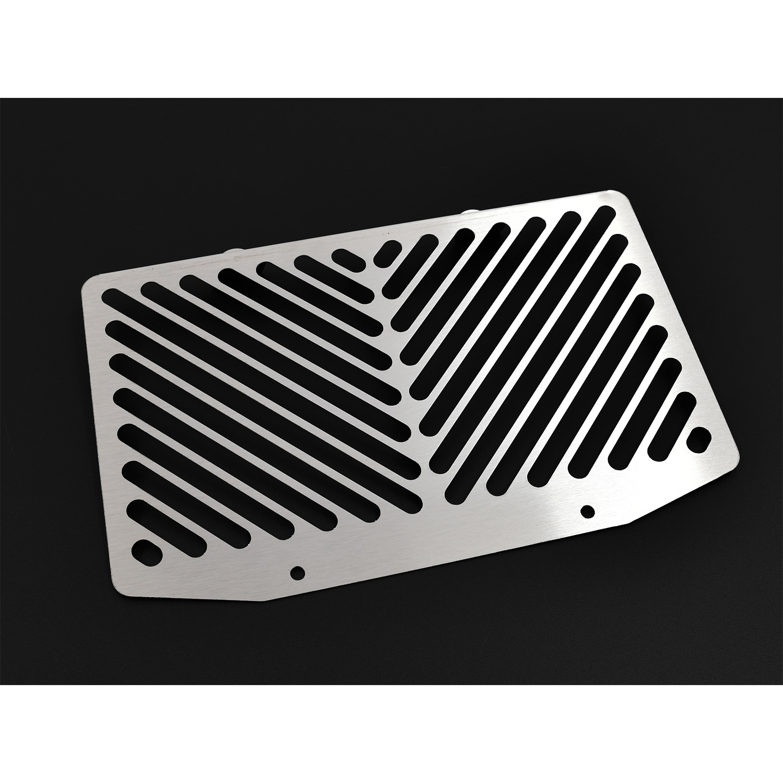 Zieger Kühlerabdeckung Clean silber für Kawasaki ER-6 n/f 2005-2008 - Motorradteile & Ersatzteile - Verkleidungen & Abdeckungen