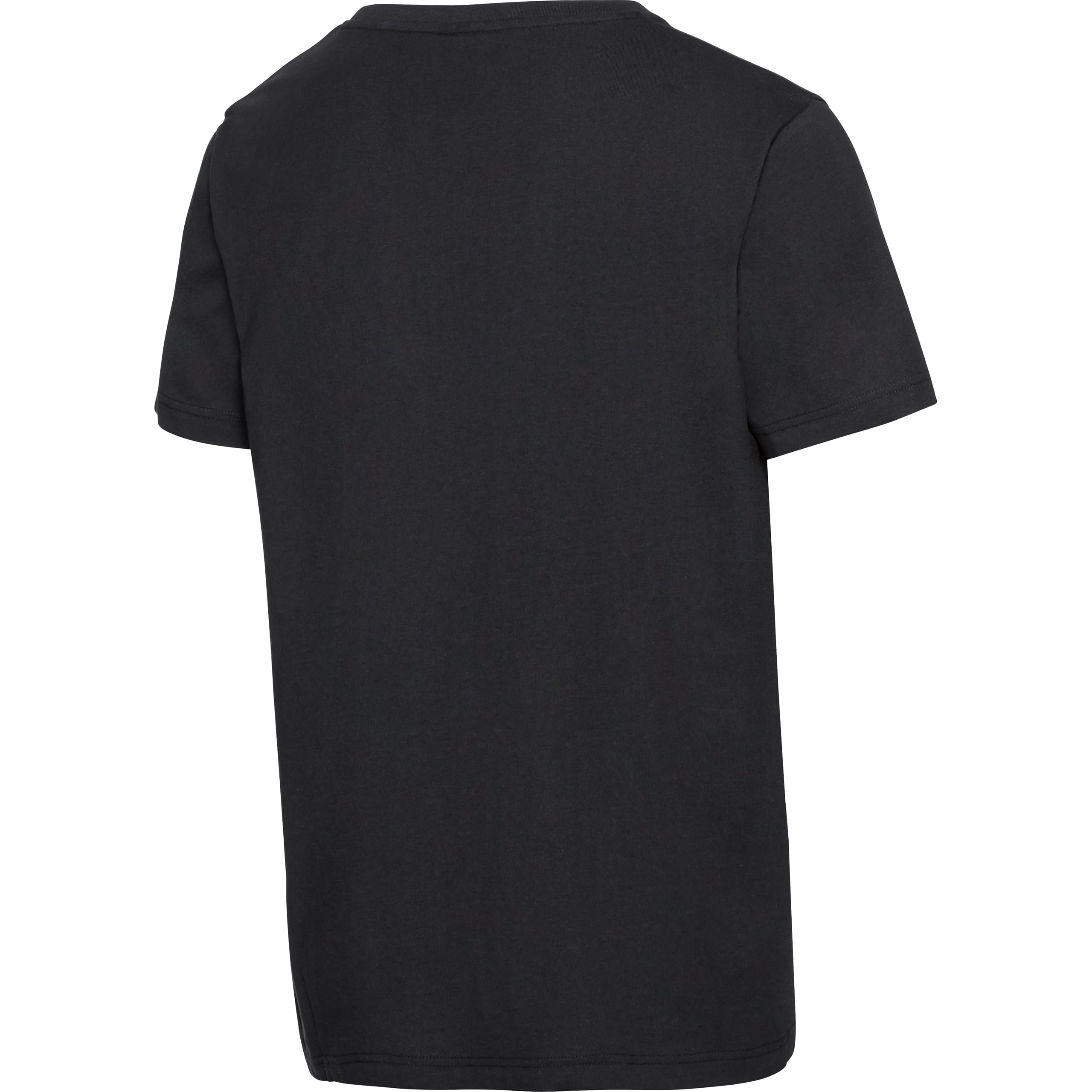 FLM-T-Shirt Carl-8020241999001012