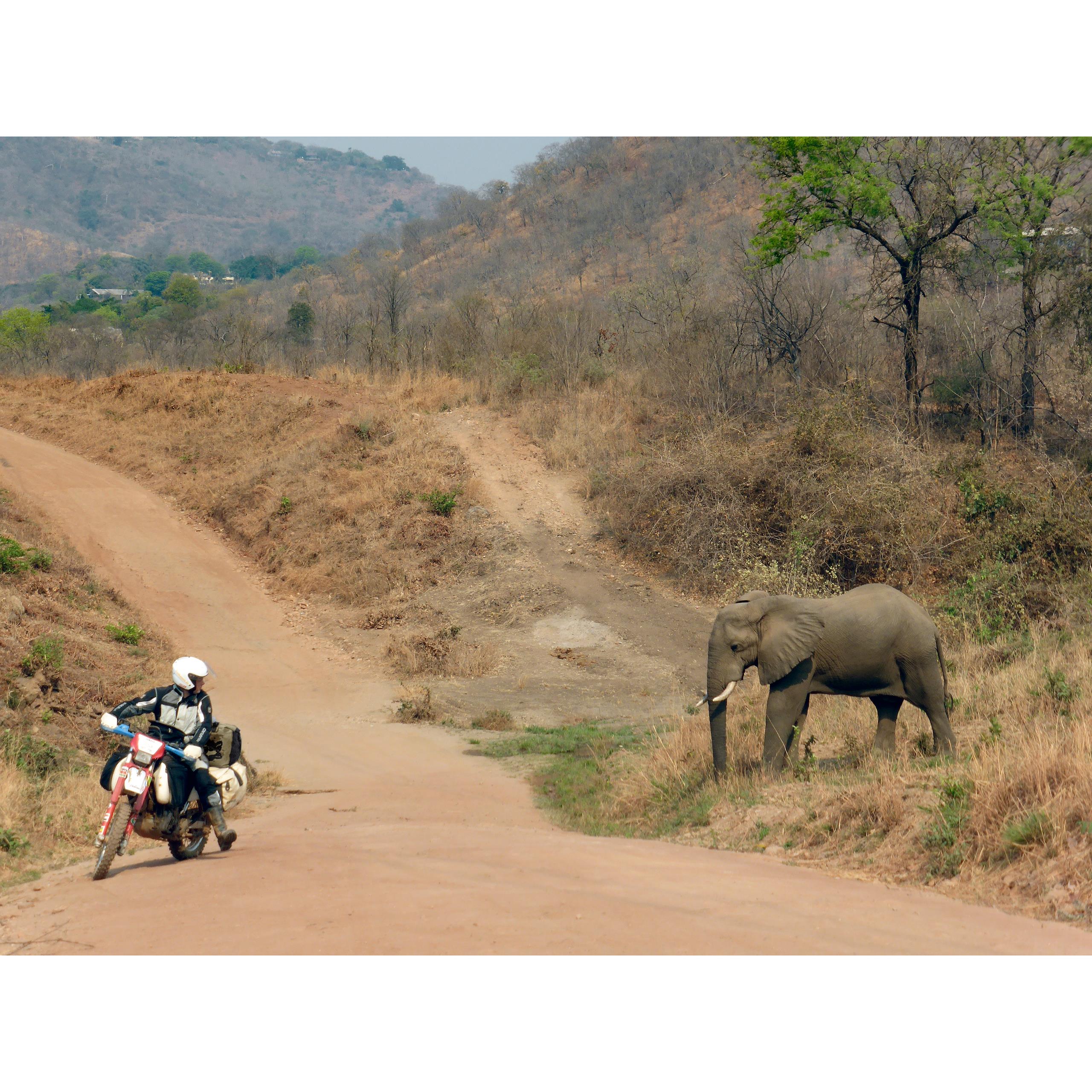 QBag-Hecktasche/Gepäckrolle wasserdicht 08 bis zu 80 Liter sand-5695361210001180