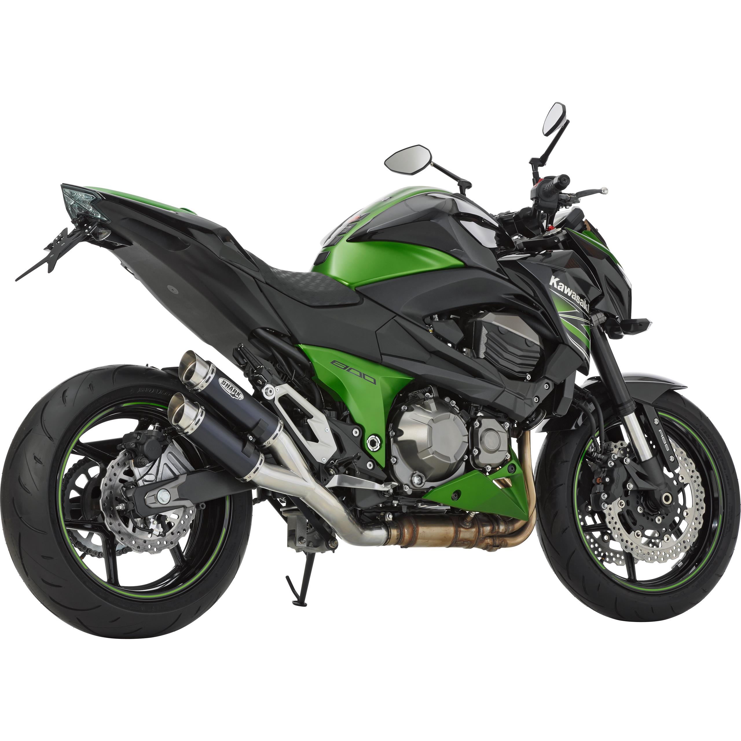 Shark exhaust-Auspuff Track-5695051