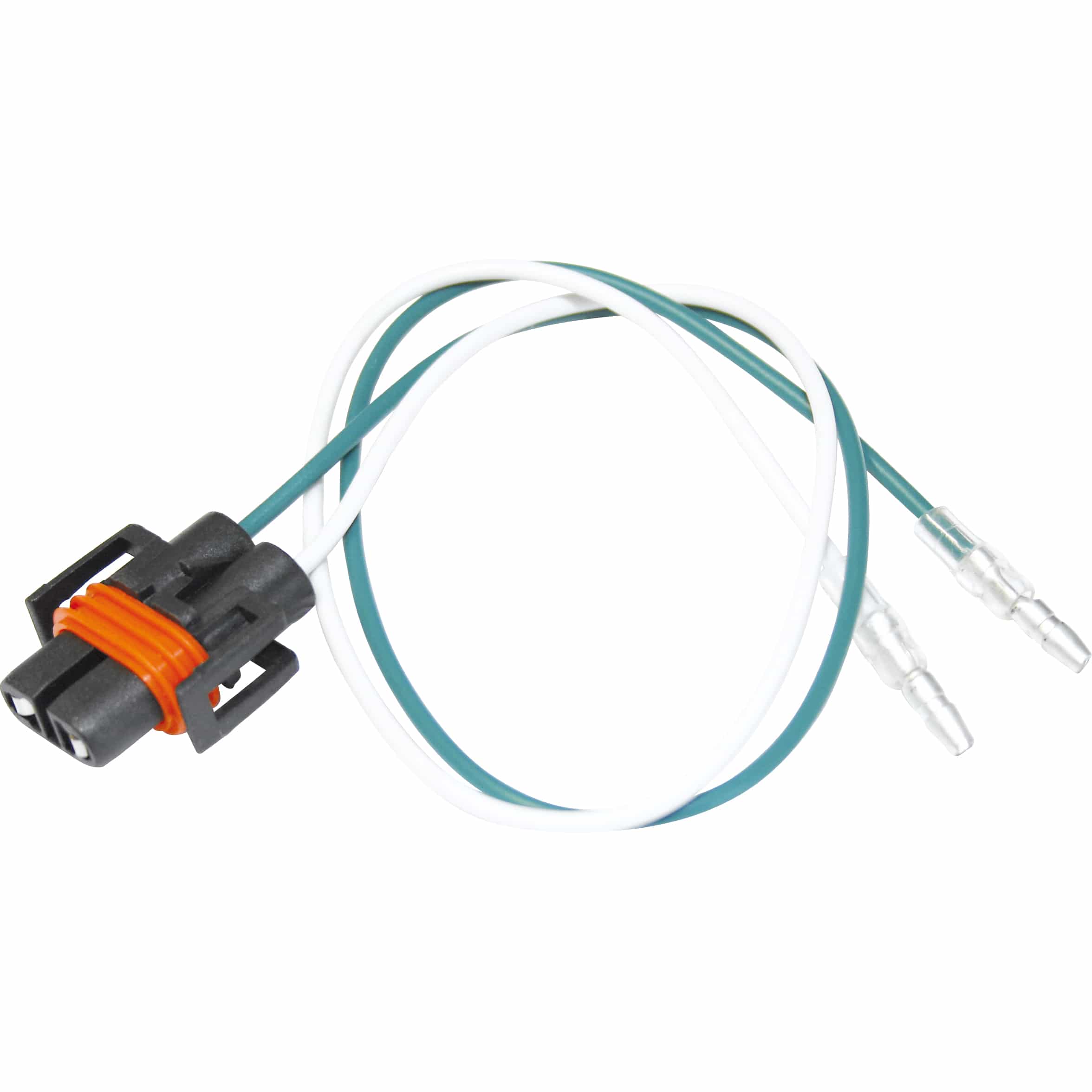 Paaschburg & Wunderlich-Anschlussstecker für Glühlampe-5733391023000700