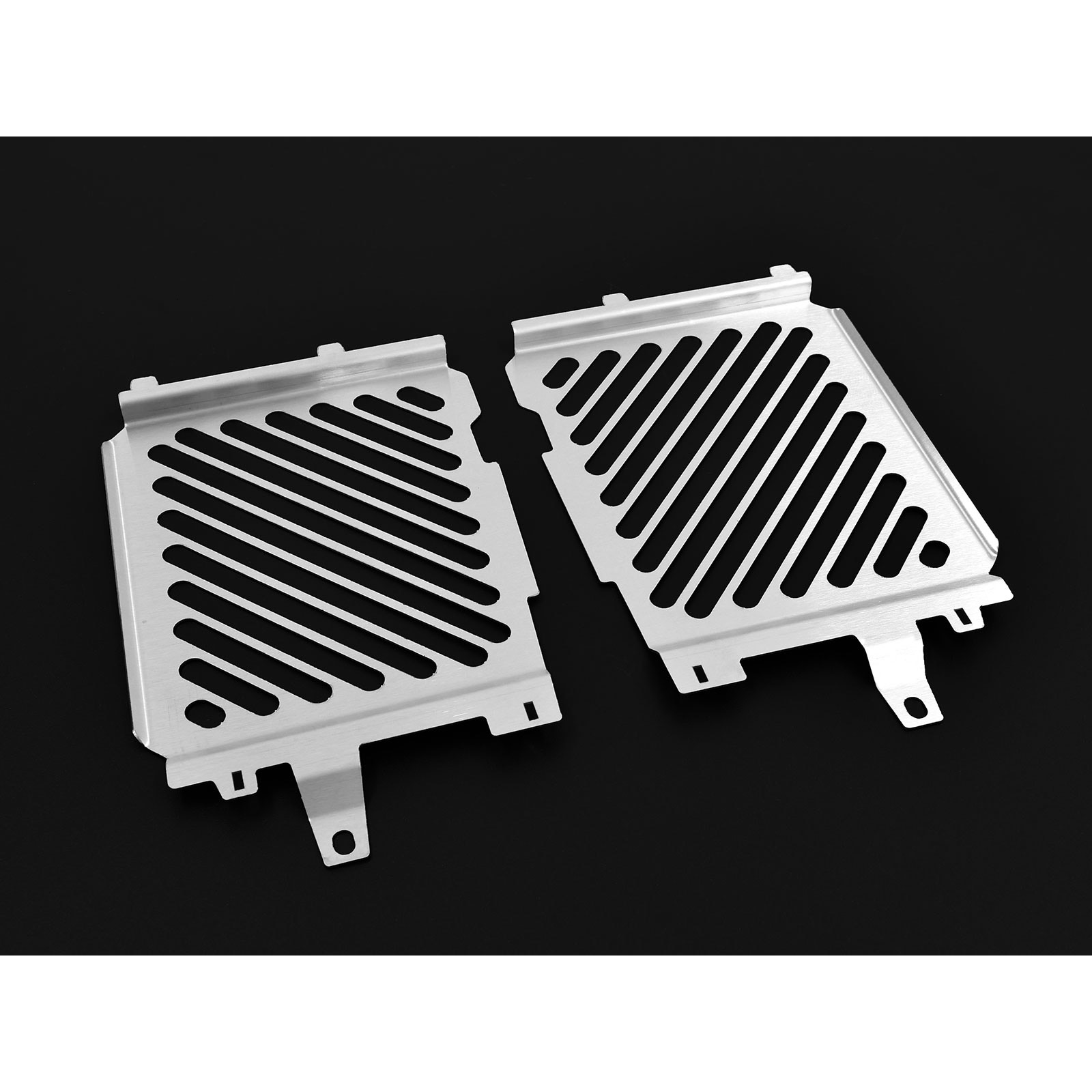 Zieger Kühlerabdeckung Clean silber für BMW R 1200/1250 GS /Adventu - Motorradteile & Ersatzteile - Verkleidungen & Abdeckungen