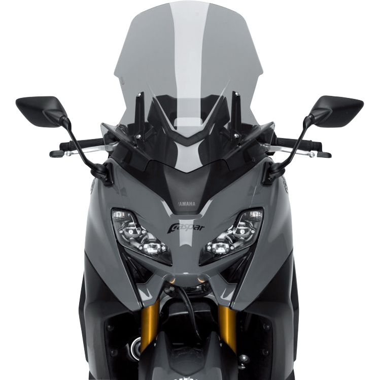 Puig-Verkleidungsscheibe Touren-5742831135000581
