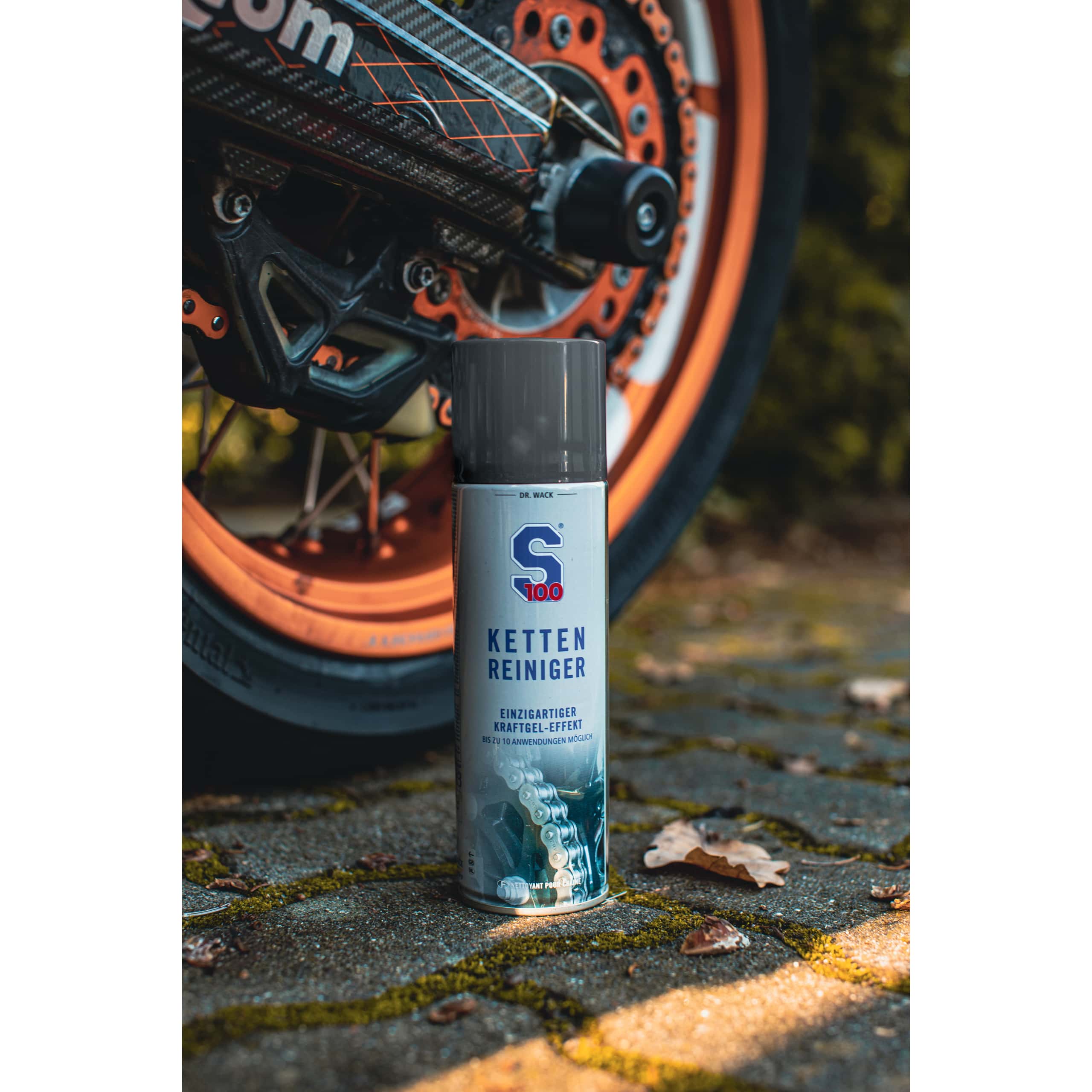 S100-Kettenreiniger 300 ml-0008031237000050